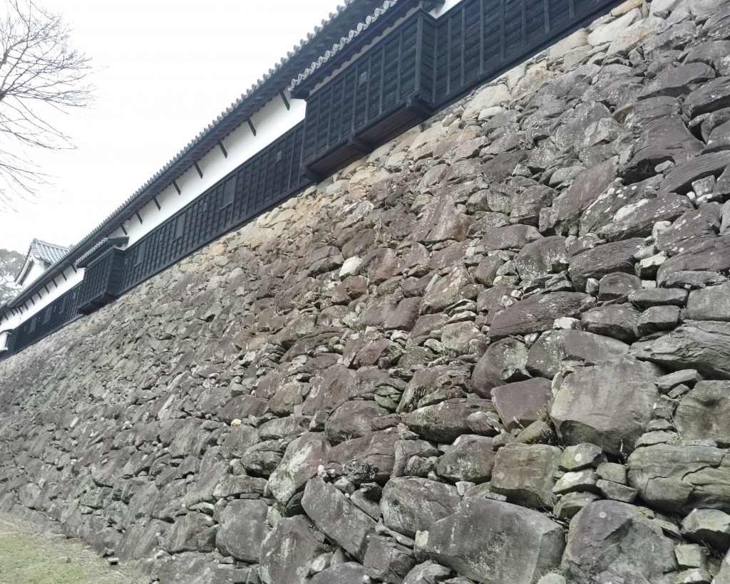 Fukuoka: Fukuoka Castle and Ohori Park Guided Tour#3