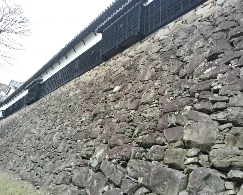 Fukuoka: Fukuoka Castle and Ohori Park Guided Tour#3