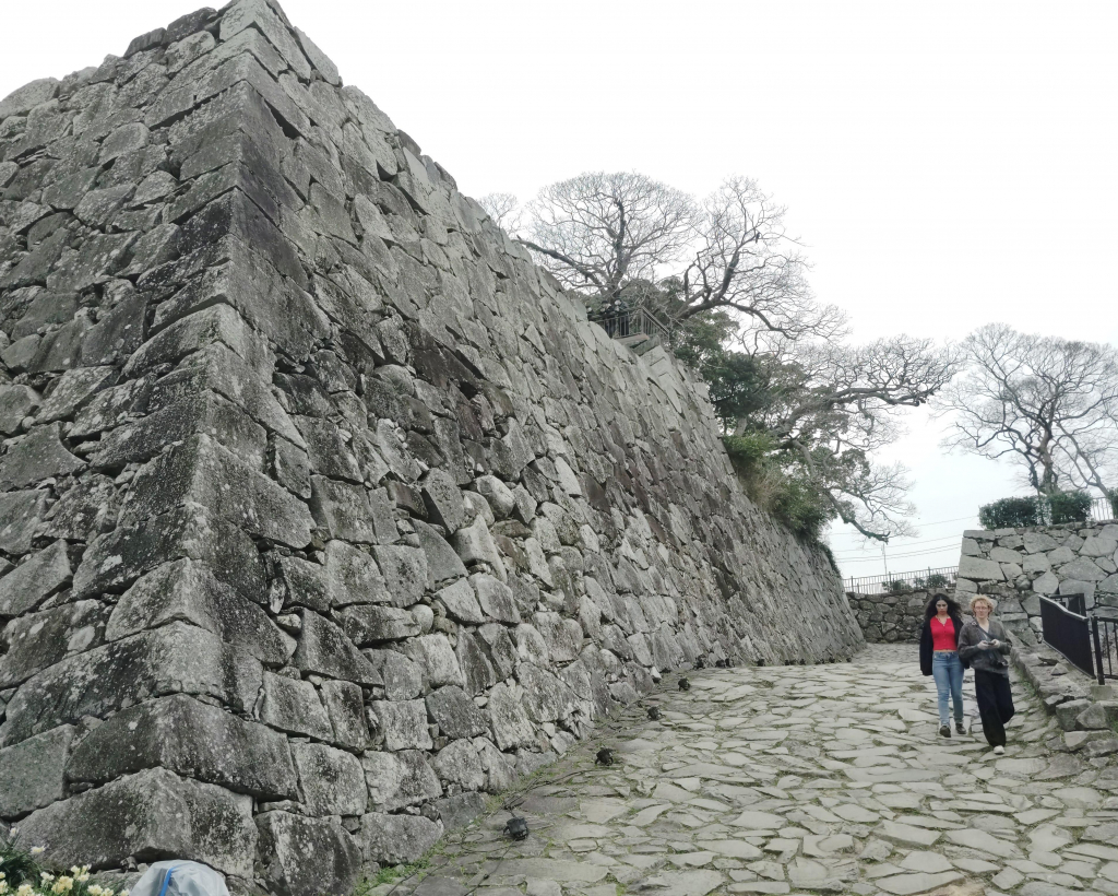 Fukuoka: Fukuoka Castle and Ohori Park Guided Tour#5