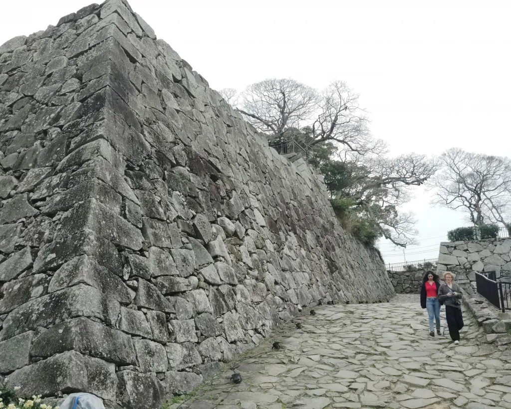 Fukuoka: Fukuoka Castle and Ohori Park Guided Tour#5