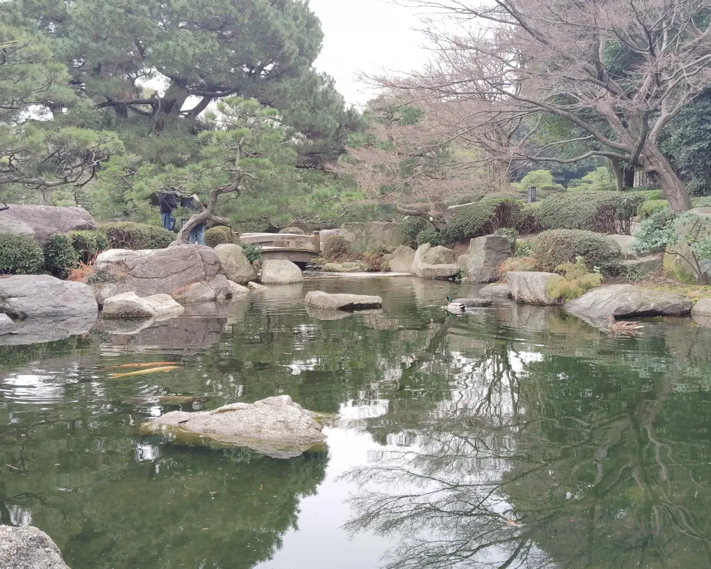 Fukuoka: Ohori Park Walking Tour with Guide#4
