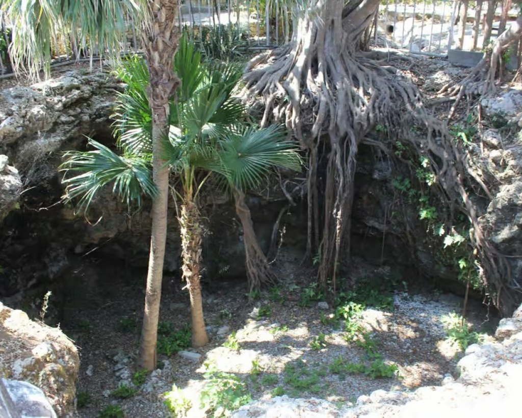 Okinawa: WWII Himeyuri Memorial & Peace Museum Guided Tour#4
