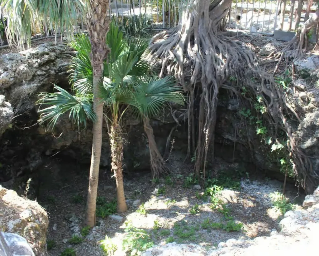 Okinawa: WWII Himeyuri Memorial & Peace Museum Guided Tour#4