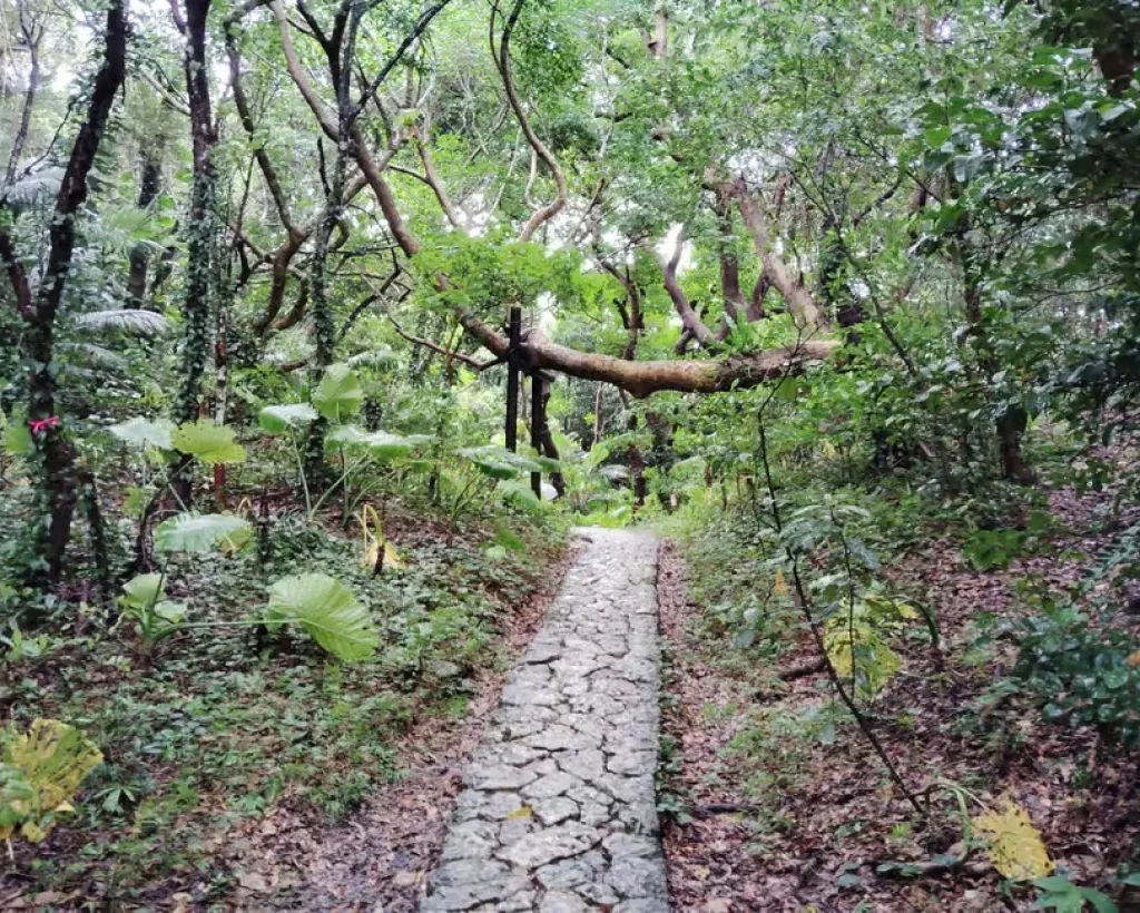 Okinawa: Sacred Sefa Utaki Walk into Ryukyu’s Spiritual#4