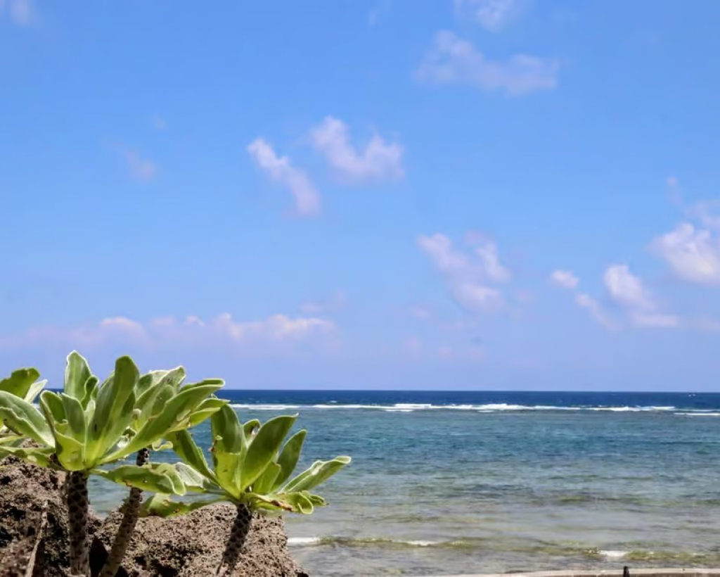 Okinawa: Sacred Island Tour to Kudaka’s Ryukyuan Holy Sites#1