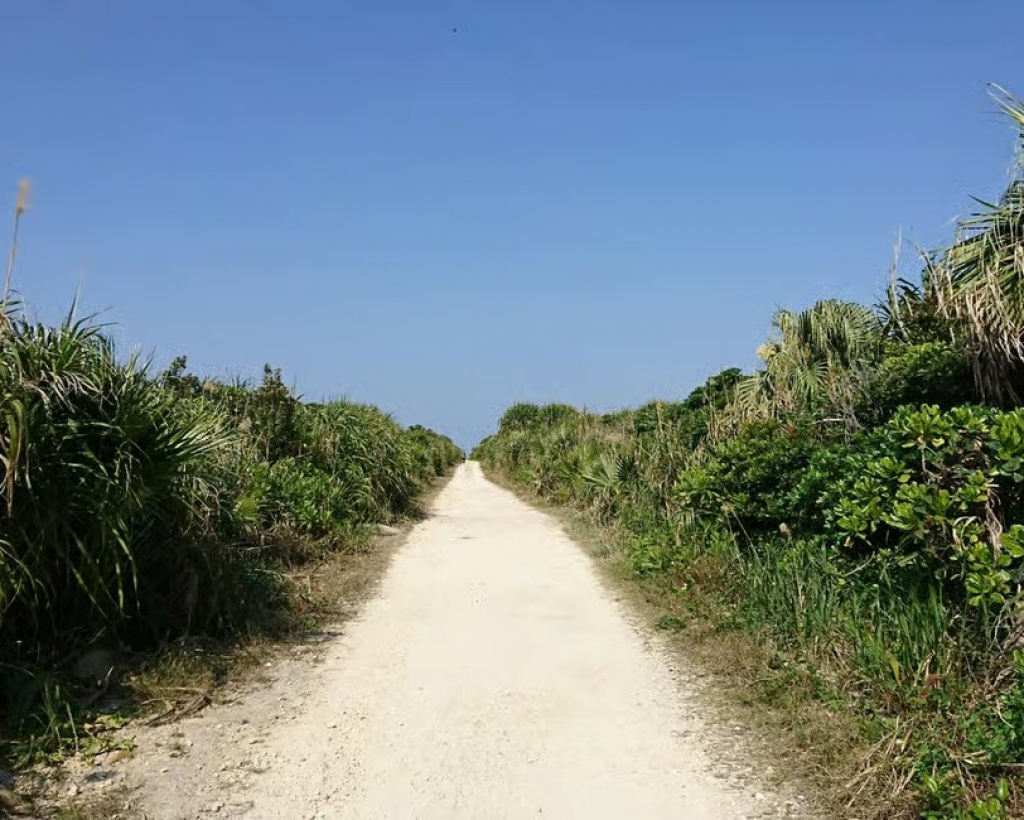 Okinawa: Sacred Island Tour to Kudaka’s Ryukyuan Holy Sites#3