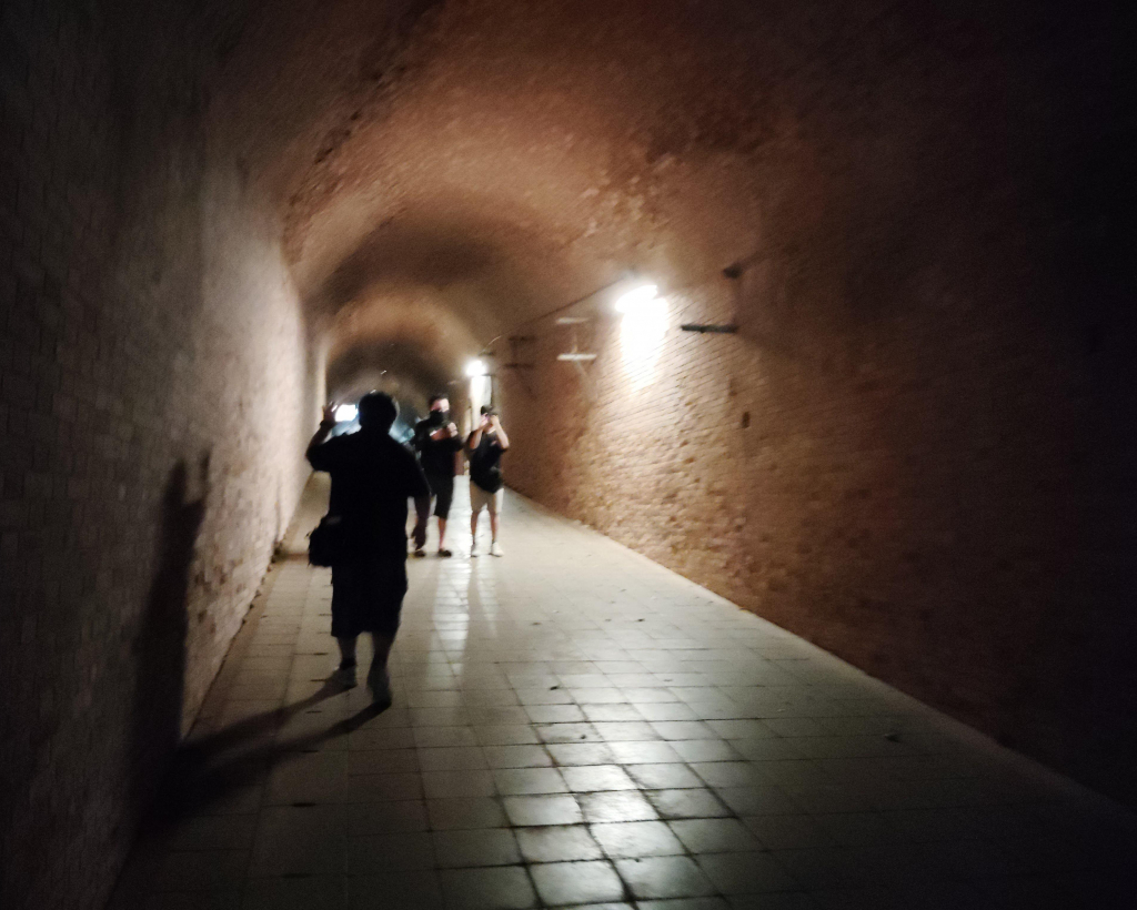 Yokosuka: Guided Island Tour to Sarushima’s Forgotten Port#3