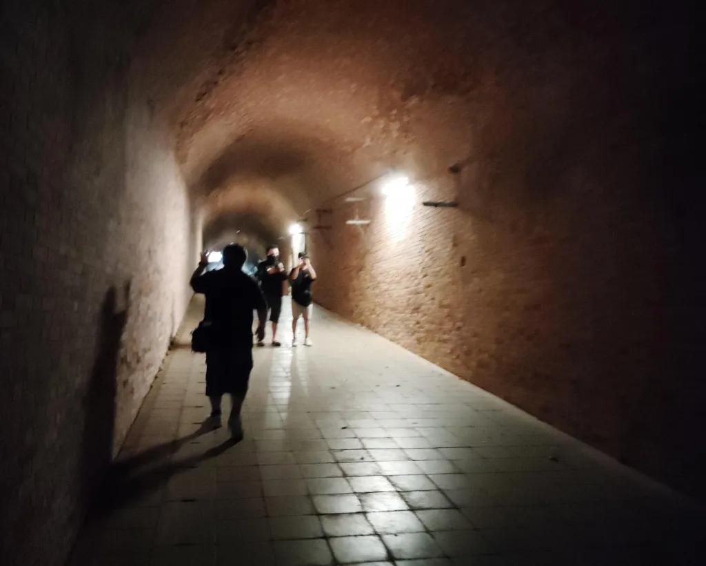 Yokosuka: Guided Island Tour to Sarushima’s Forgotten Port#3