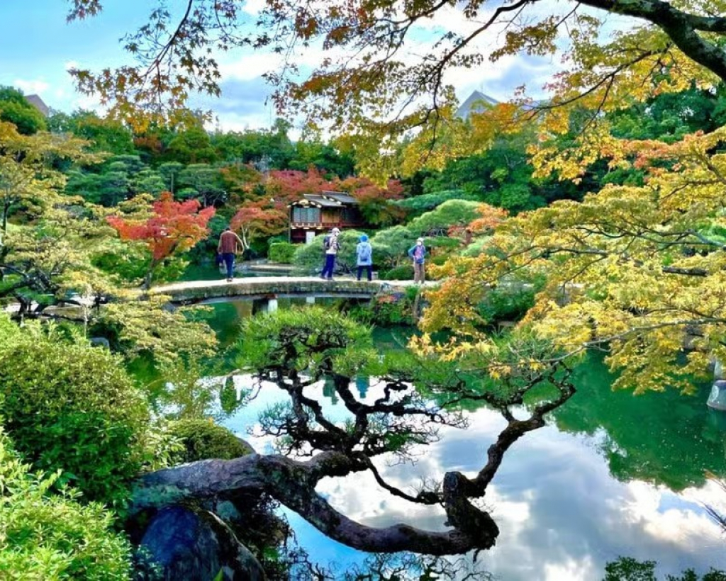 Kobe: Sake Tasting, Shrines, Gardens & Scenic Harbor in 1Day#5