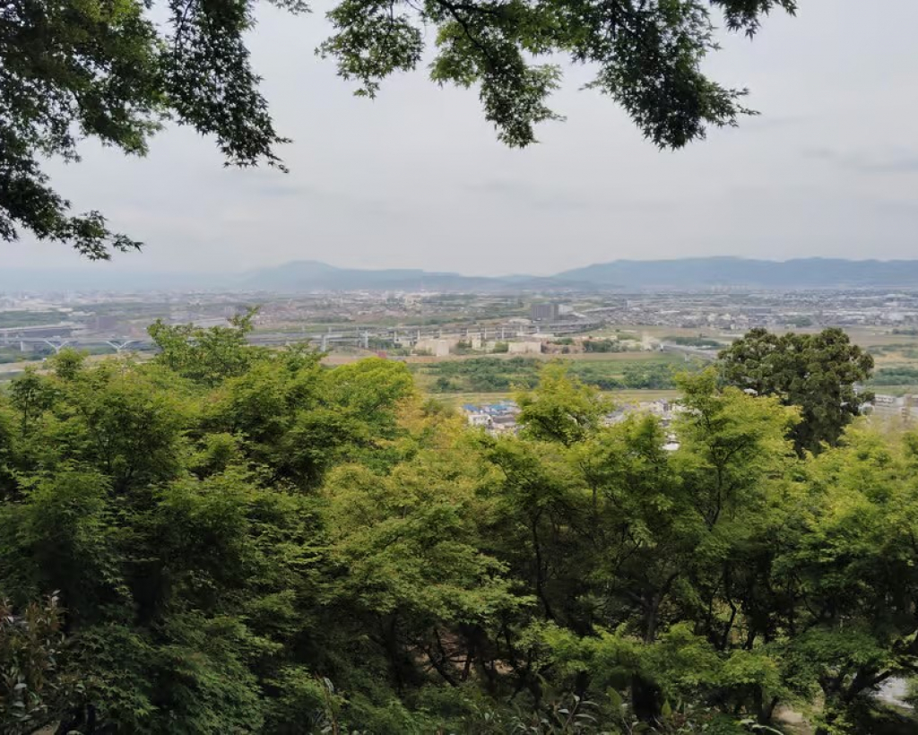 Kyoto: Iwashimizu Hachimangū Shrine Guided Tour & Cable Car#4