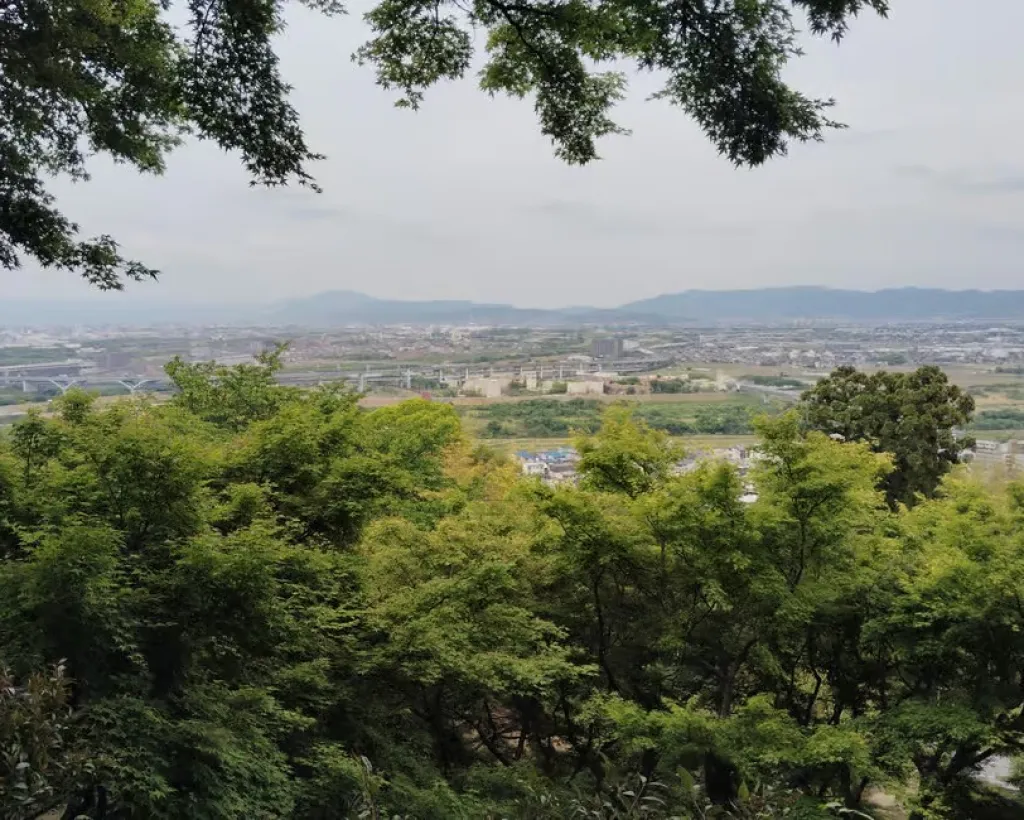 Kyoto: Iwashimizu Hachimangū Shrine Guided Tour & Cable Car#4