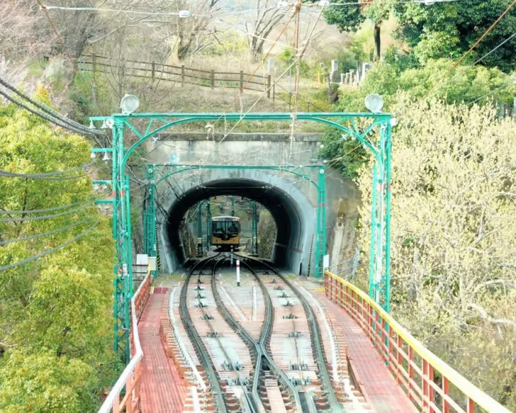 Kyoto: Iwashimizu Hachimangū Shrine Guided Tour & Cable Car#5