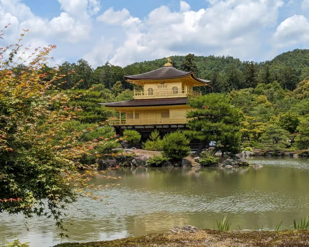 Kyoto: Discover Kinkaku-ji and Ginkaku-ji in One Tour#1