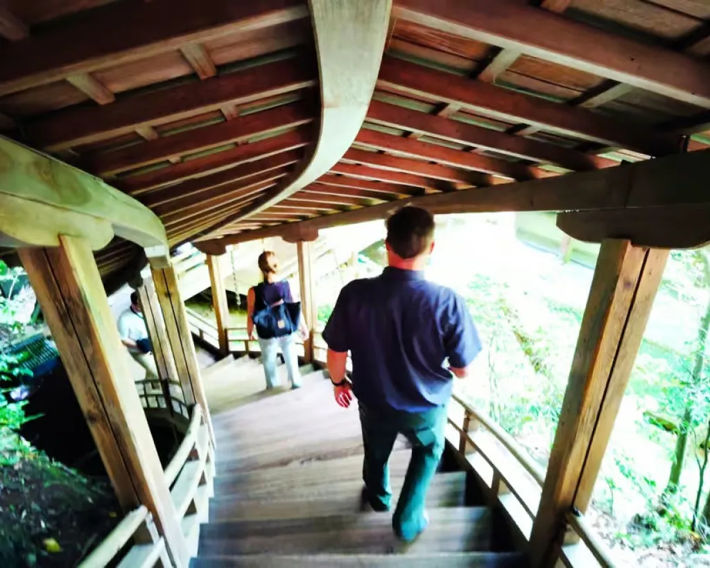 Kyoto: Serene Stroll Through Eikando’s Timeless Temple Paths#3