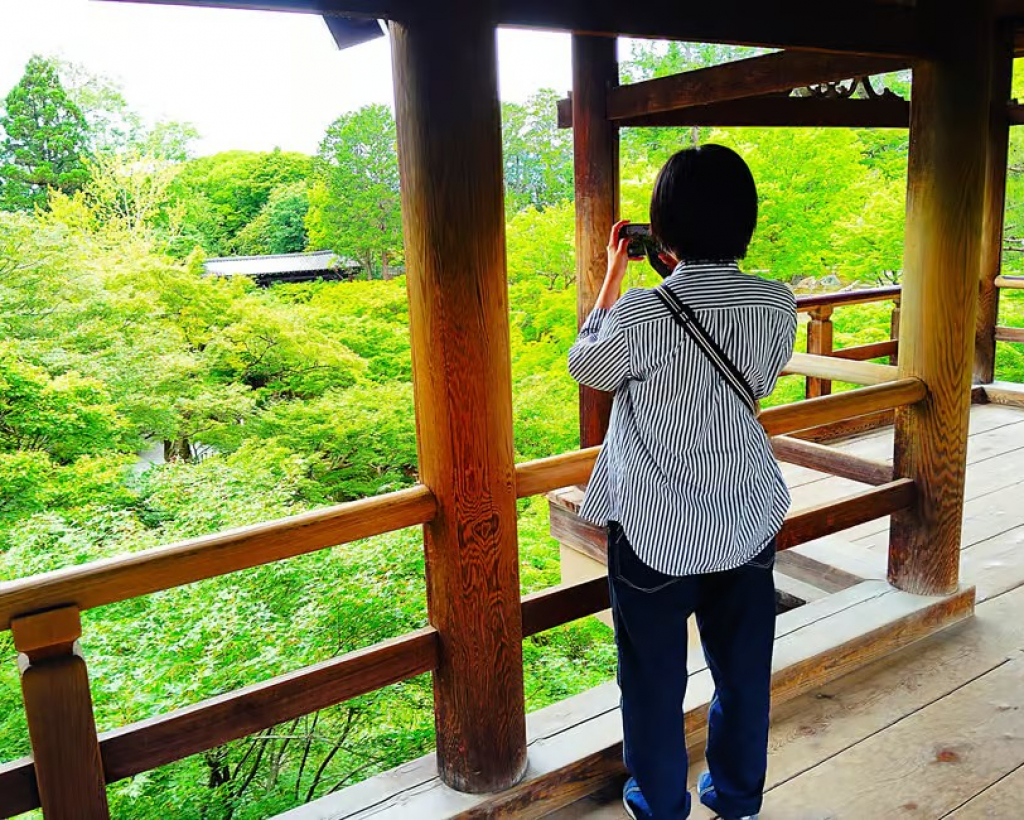 Kyoto: Tofuku-ji Temple and Komyo-in Guided Walking Tour#4
