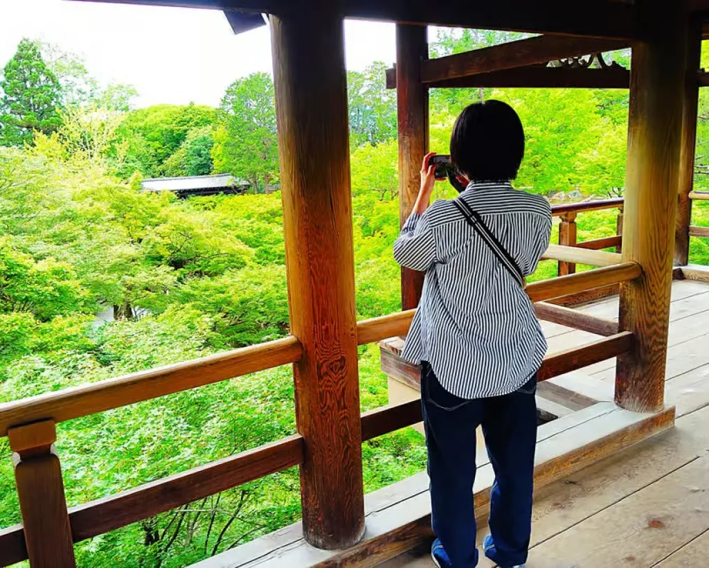 Kyoto: Tofuku-ji Temple and Komyo-in Guided Walking Tour#4