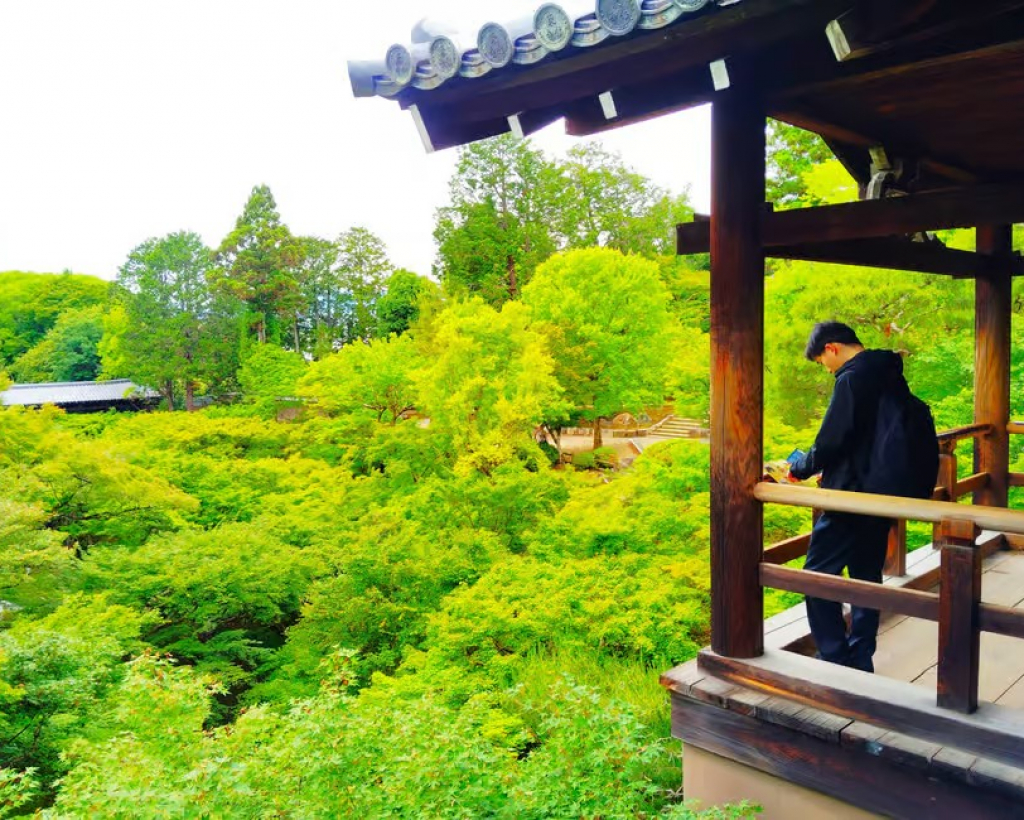 Kyoto: Tofuku-ji Temple and Komyo-in Guided Walking Tour#2