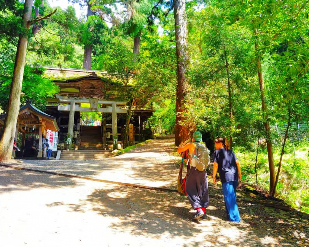 Kyoto: Kurama Temple and Mountain Legends Guided Hike#3