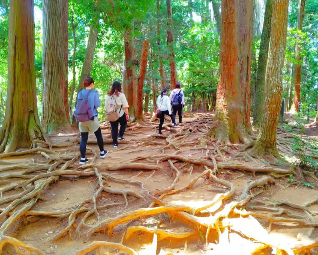 Kyoto: Kurama Temple and Mountain Legends Guided Hike#2