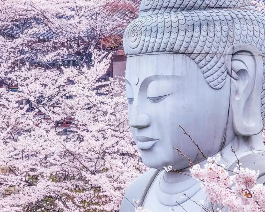 Nara: Discover a Giant Stone Buddha in the Forest Hills#2
