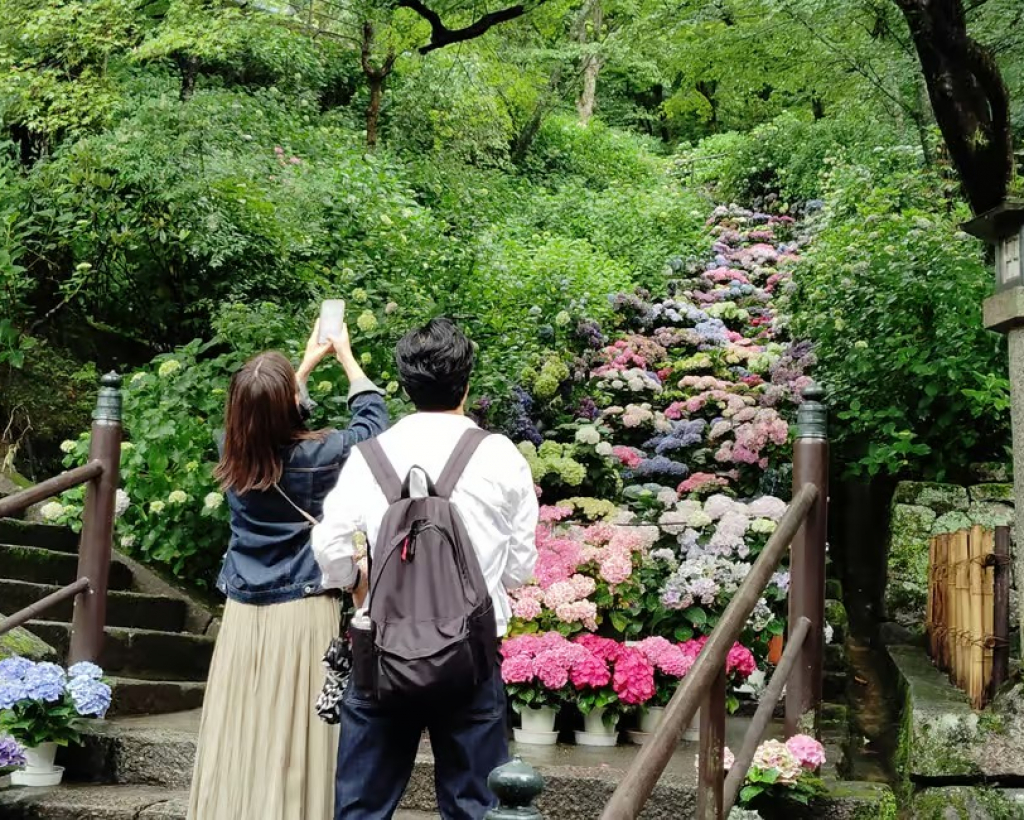 Nara: Explore Hasedera’s Giant Kannon and Cliffside Temple#4