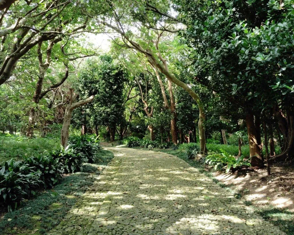 Okinawa: Shikinaen Royal Garden Guided Tour – UNESCO Site#2