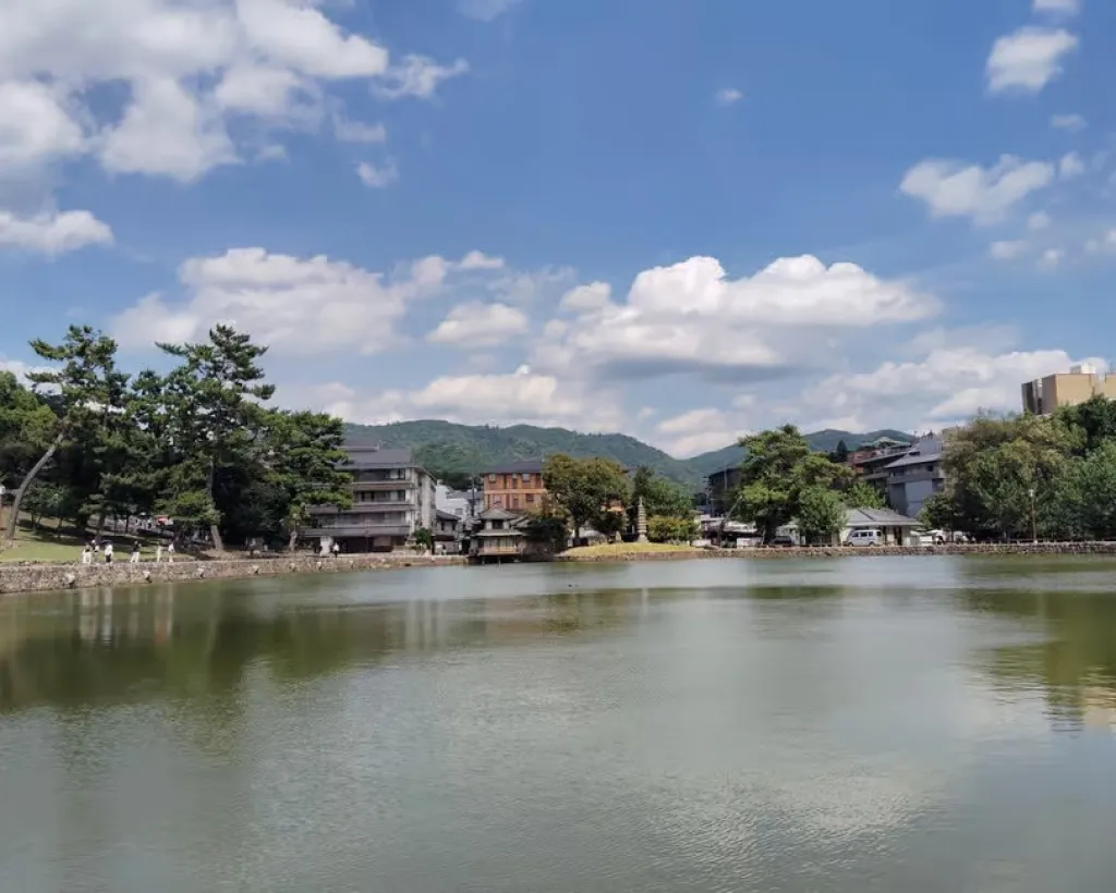 Nara: Sake Tasting Tour at the Birthplace of Japanese Sake#4