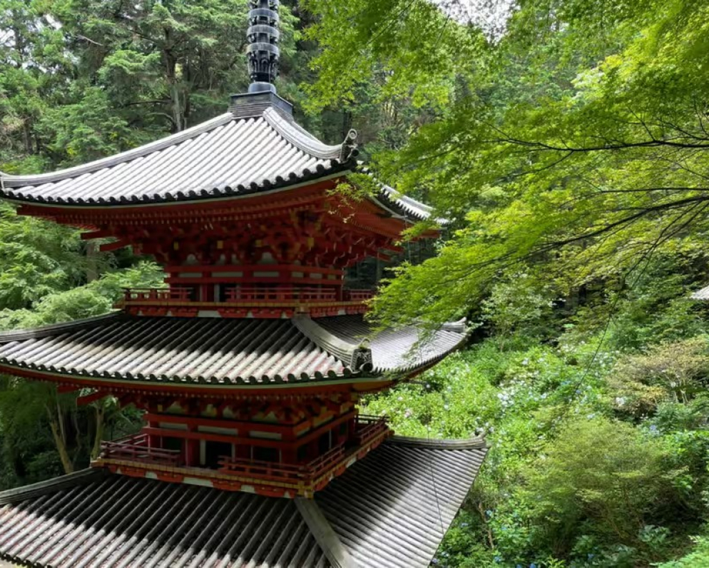 Southern Kyoto: Journey to Jōruri-ji & Its Pure Land Garden#3