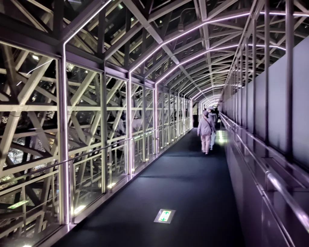 Kyoto: Station and Tower Night Tour with Light Show#5