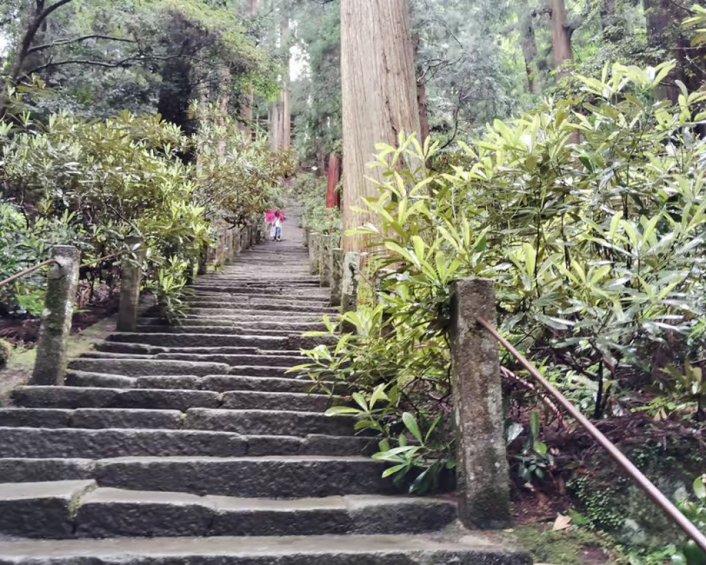 Nara: Muro-ji Temple – Serenity, Tradition and Sacred Beauty#4