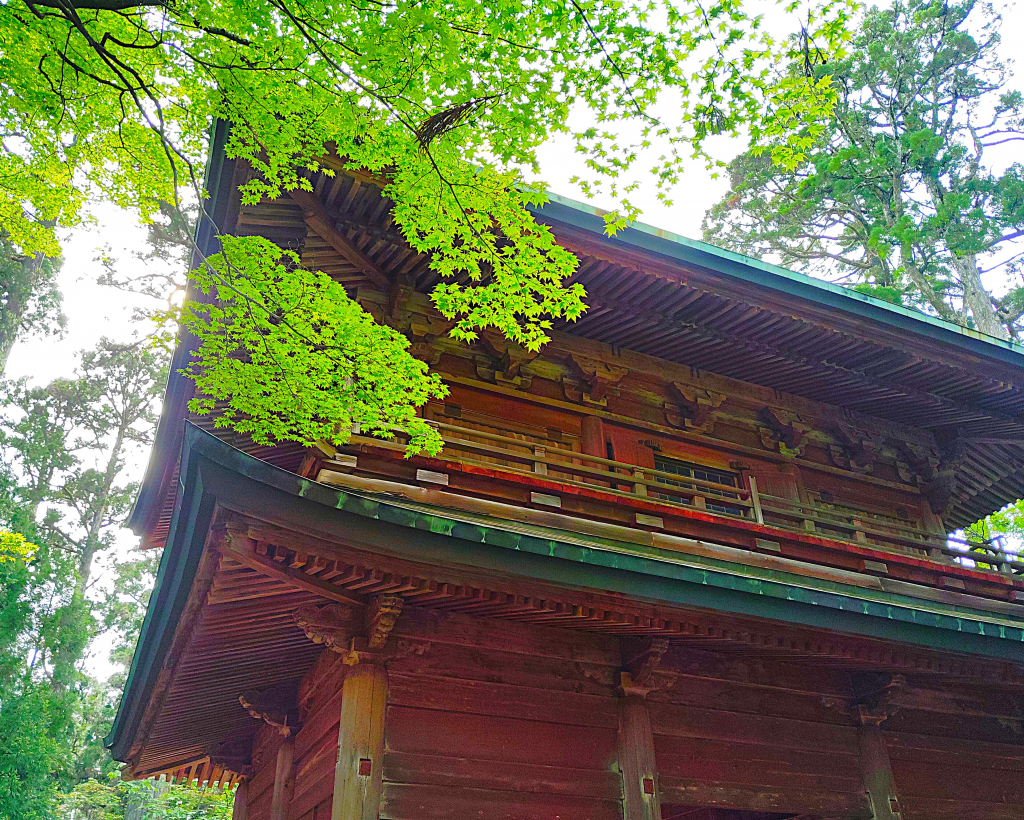 Kyoto: Mount Hiei Guided Tour – Mother of Japanese Buddhism#3