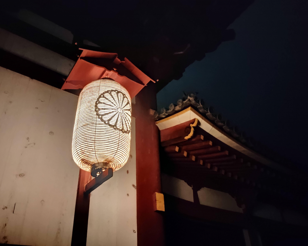 Nara: Night Walking Guided Tour - Beauty in a Peaceful Night#3