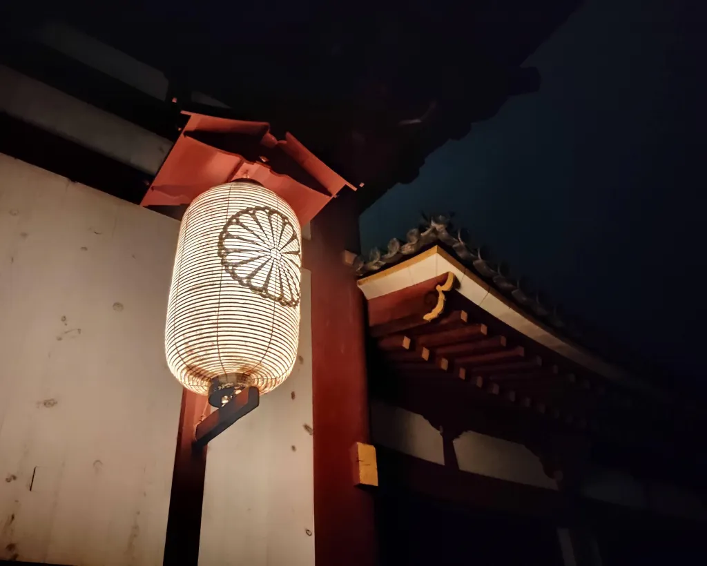 Nara: Night Walking Guided Tour - Beauty in a Peaceful Night#3