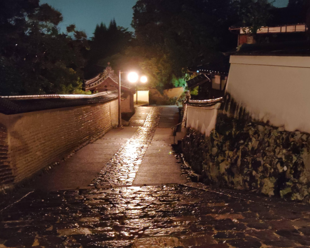 Nara: Night Walking Guided Tour - Beauty in a Peaceful Night#4