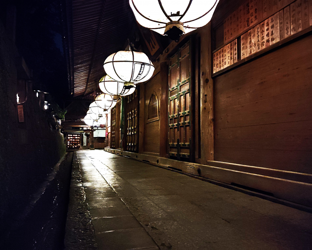 Nara: Night Walking Guided Tour - Beauty in a Peaceful Night#5
