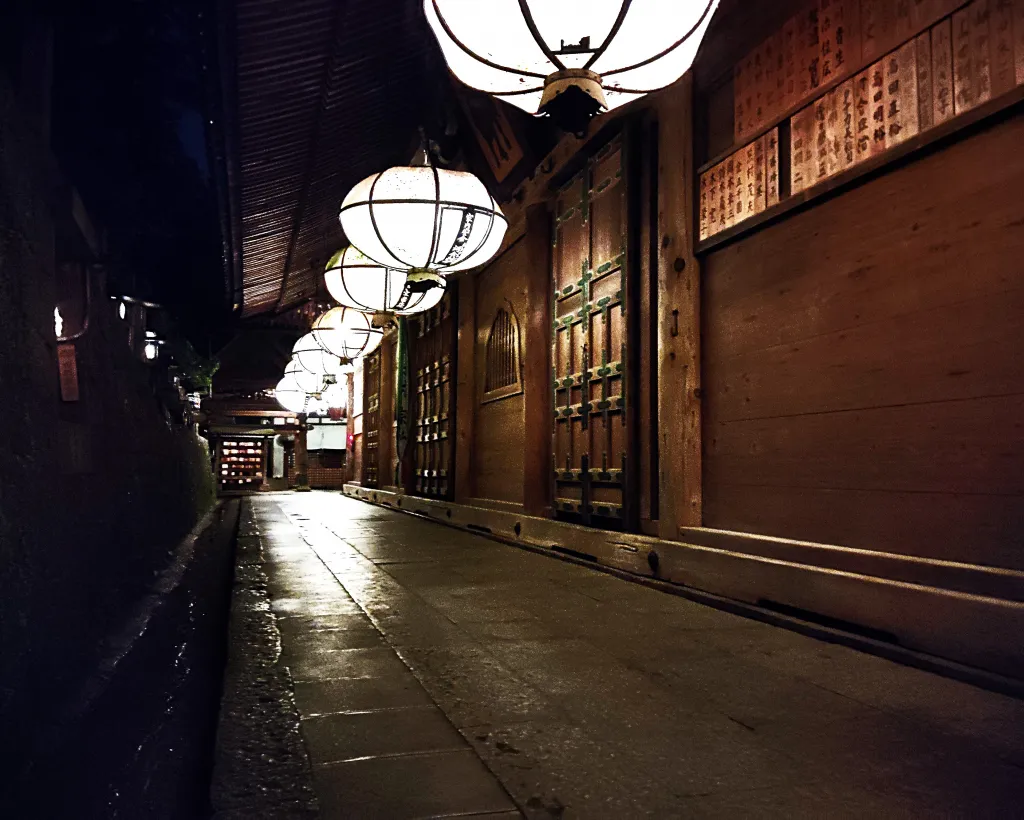 Nara: Night Walking Guided Tour - Beauty in a Peaceful Night#5