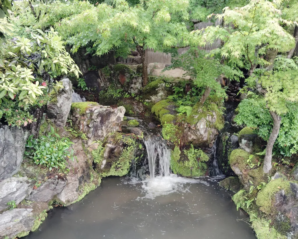 Nara: Isuien Garden Tour with Matcha Tea Experience#4