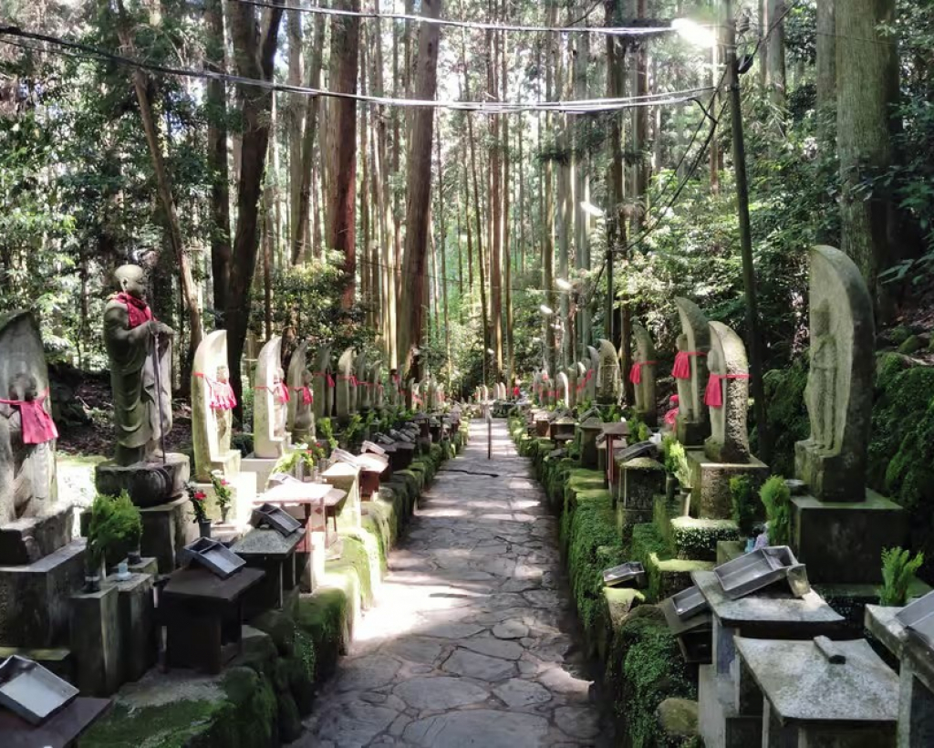 Nara: Hozan-ji Temple Guided Tour with Cable Car Ride#4