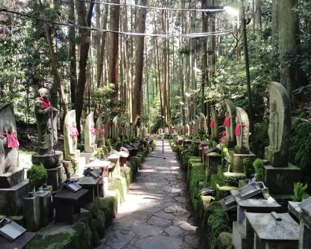 Nara: Hozan-ji Temple Guided Tour with Cable Car Ride#4