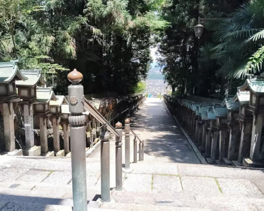 Nara: Hozan-ji Temple Guided Tour with Cable Car Ride#5