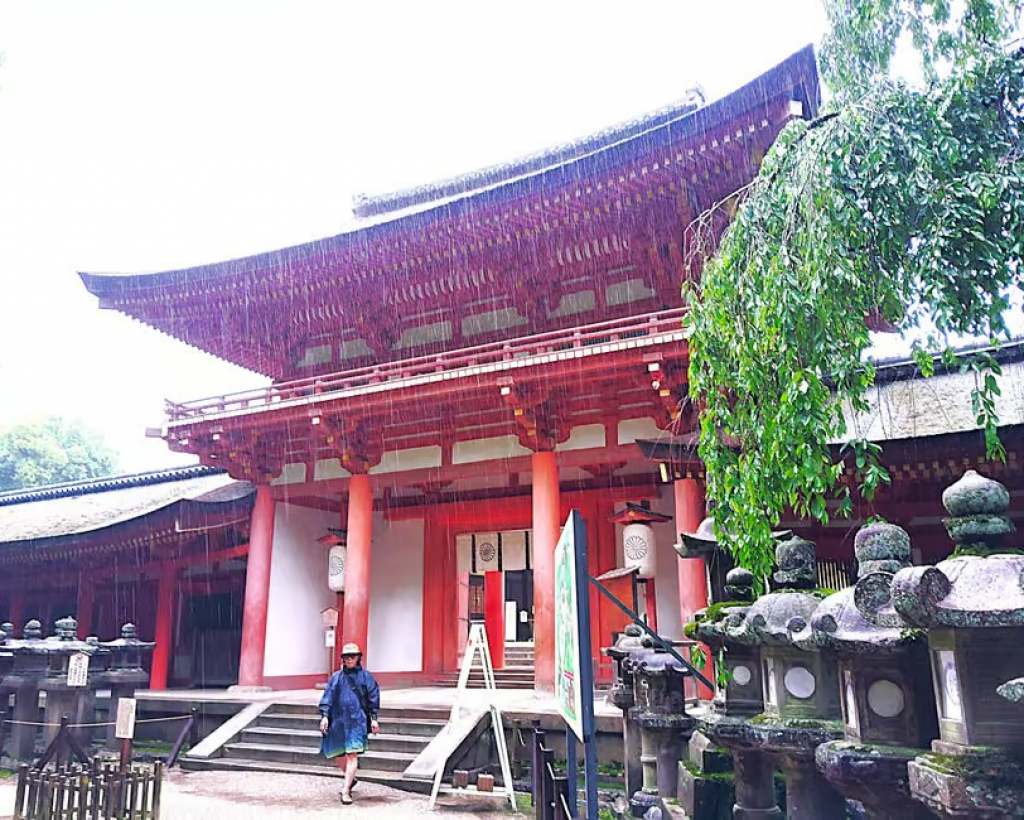 Nara: Sacred Morning Walk with Deer in the Mist#5