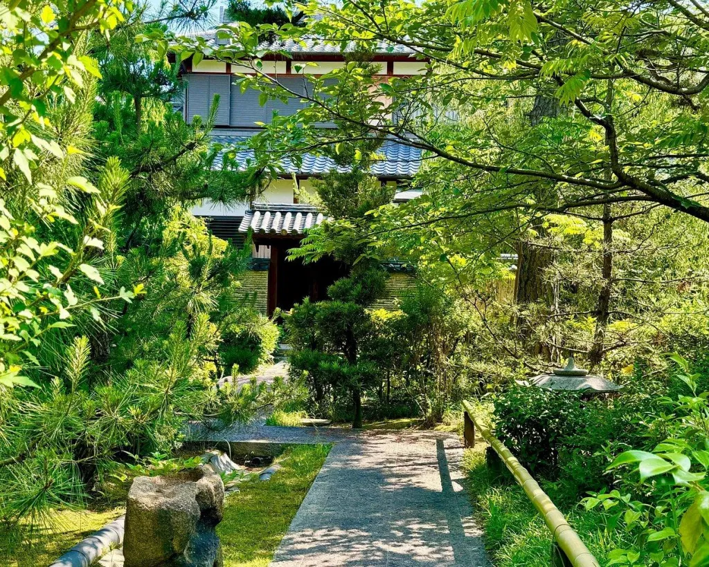 Osaka Tea & Zen Tour – Trace Footsteps of Tea Master Sen no Rikyu#5