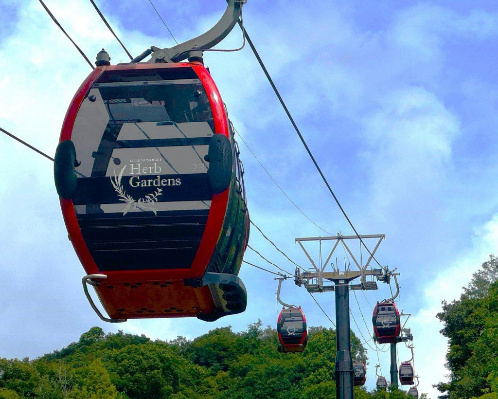 Kobe Private Custom Walking Tour#5