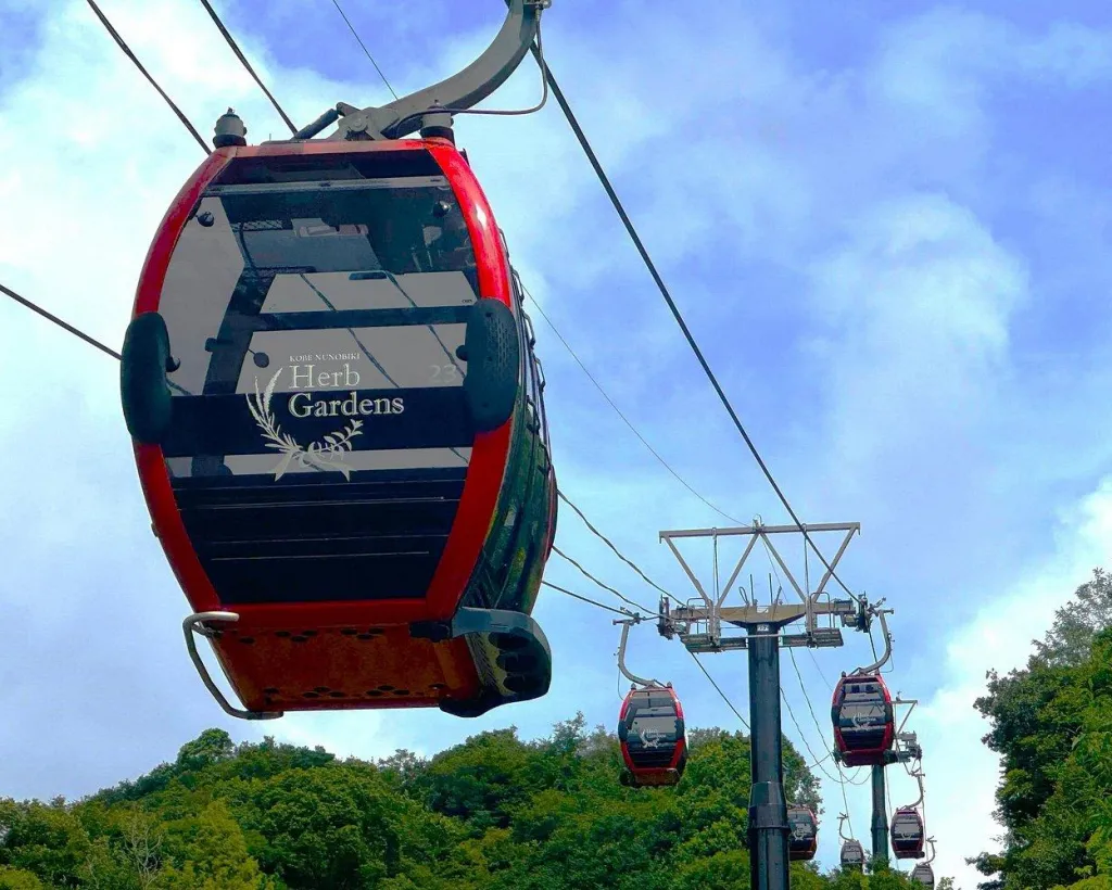 Kobe Private Custom Walking Tour#5