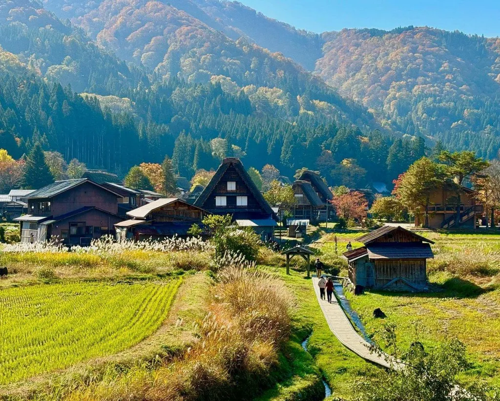 Gifu: Private Guided Tour of Shirakawa-go#3