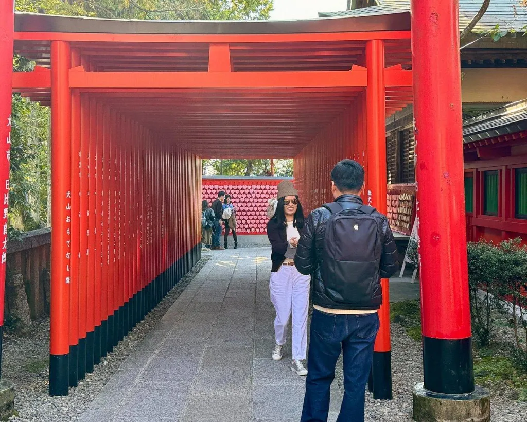 Nagoya: National Treasure Inuyama Castle & Tea Room Private Tour#4