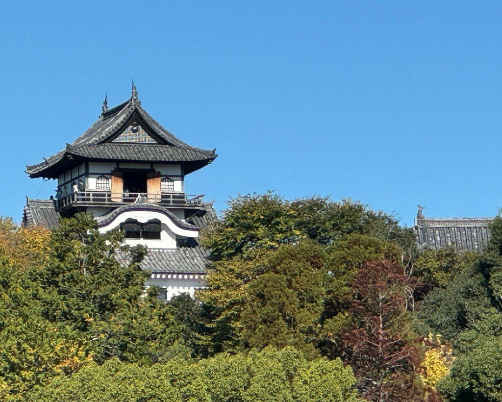 Nagoya: National Treasure Inuyama Castle & Tea Room Private Tour#2