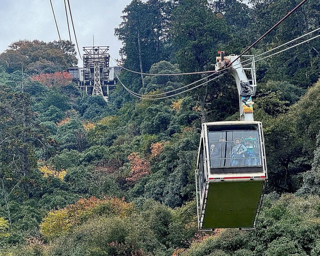 2 Hour Private Scenic Mountain Castle Tour in Gifu#2