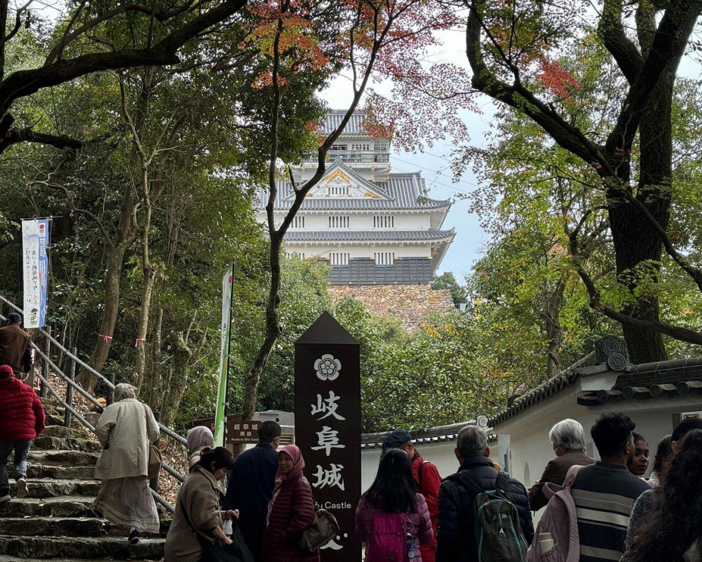Gifu: Half Day Private Tour Castle, Great Buddha and Old Town#5