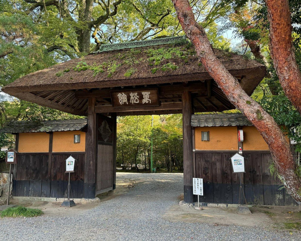 Gifu: Half Day Private Tour Castle, Great Buddha and Old Town#4